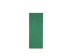Feuille arrière verte